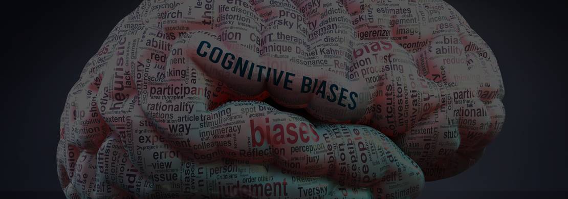 All types of cognitive biases projected on different brain sections