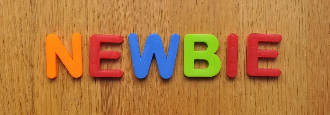 An image of colourful letters spelling “newbies” on a wooden surface